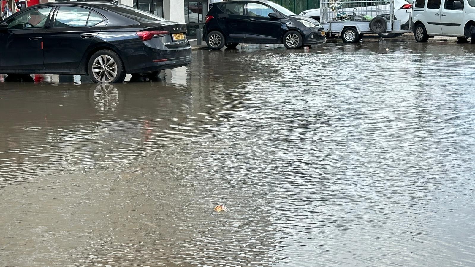 WhatsApp Image 2024-01-30 at 19.11.05.jpeg